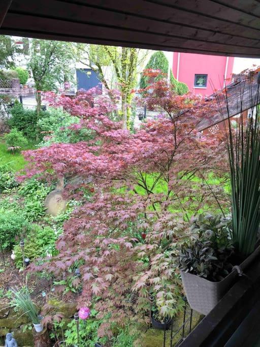 Willkommen Im Casa Felice, Der Wohlfuehl Oase Mit Balkon, 4 Betten Und Homeoffice Platz Aidlingen Buitenkant foto